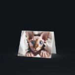 Sphynx kaart voor elke gelegenheid<br><div class="desc">Zeg wat je wilt voor elke gelegenheid met deze leuke kaart!</div>
