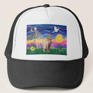 Sphynx Kat 1 - Schemering Trucker Pet