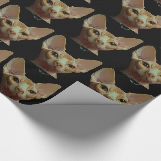 sphynx-kat cadeaupapier (Hoek)