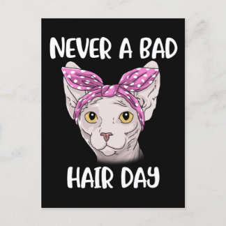 Sphynx-kat-cadeaus voor vrouwen en Mannen Sphynxka Briefkaart