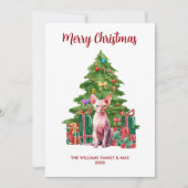 Sphynx Kat Familie Kerstmis Feestdagenkaart (Voorkant)