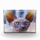 Sphynx Kat Fotoblokken (Voorkant)