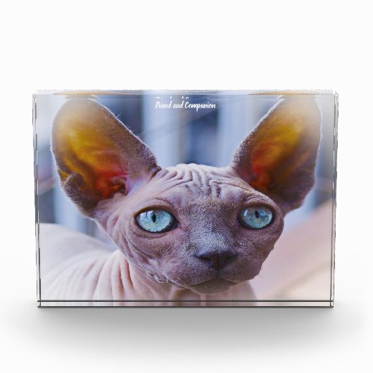 Sphynx Kat Fotoblokken (Voorkant)