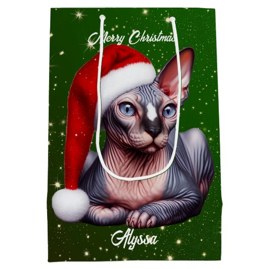 Sphynx Kat  Groen Kerstmis Medium Cadeauzakje (Achterkant)