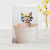 SPHYNX KAT (HAARLOOS) GRAPPIGE KAT VERJAARDAGSKAAR KAART (Gele Bloem)