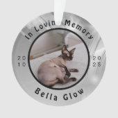 Sphynx-kat Herdenking Zilver Herinnerings Kunst Ornament (voorkant)