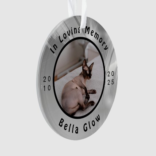 Sphynx-kat Herdenkings Zilver Herinnerings Kunst Ornament (voorkant)