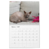Sphynx Kat Humor Kunst | Flexibel Citaatontwerp Kalender (Feb 2027)