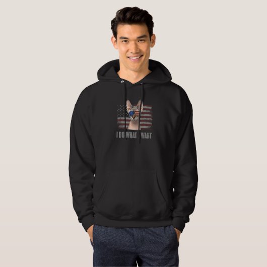 Sphynx kat Ik doe wat ik wil Retro USA grappige ka Hoodie (Voorkant volledig)