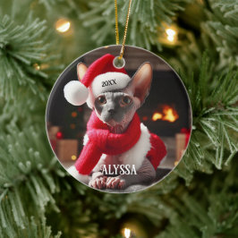 Sphynx Kat in Santa Hat Kerstmis Keramisch Ornament
