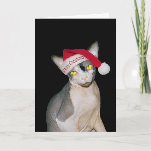 Sphynx Kat Kerstman Zwart Kerstmis Kaart (Voorkant)