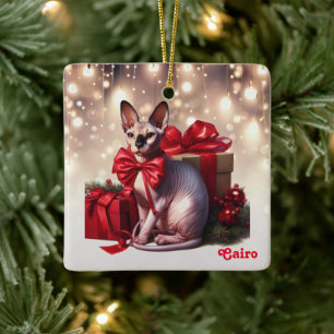 Sphynx Kat Kerstmis Keramisch Ornament