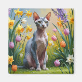 Sphynx Kat Lentebloemen Schilderij Magneet (Voorkant)