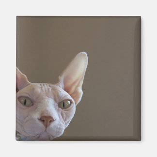 Sphynx Kat Magneet