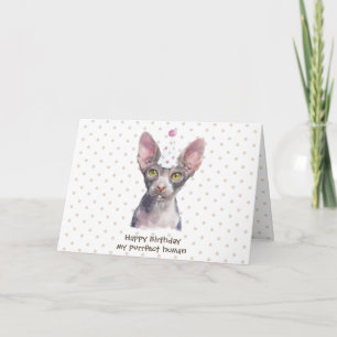Sphynx kat met feesthoed kaart