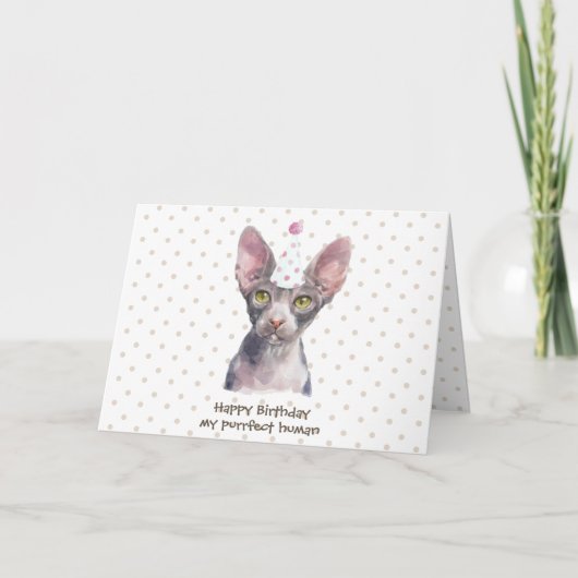 Sphynx kat met feesthoed kaart (Voorkant)