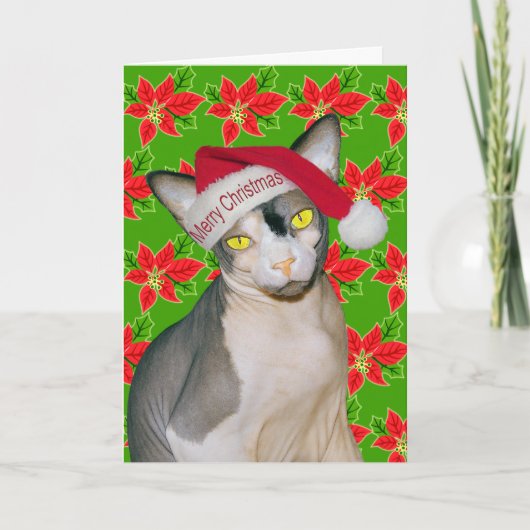 Sphynx Kat Ninja Kerstman Holi Groen Kaart (Voorkant)