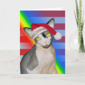 Sphynx Kat Ninja Sinterklaas Kerst Regenboog Kaart (Voorkant)