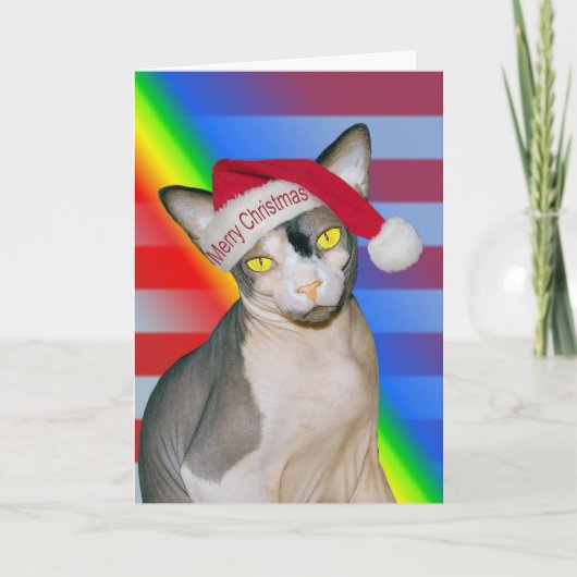 Sphynx Kat Ninja Sinterklaas Kerst Regenboog Kaart (Voorkant)