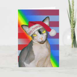 Sphynx Kat Ninja Sinterklaas Kerst Regenboog Kaart