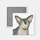 Sphynx Kat Ninja Wit Vierkant Magneet (Voorkant / Achterkant)