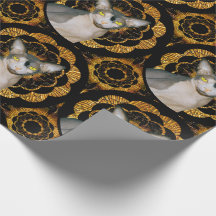 Sphynx Kat Ninja Zwart en Goud Retro Stijl