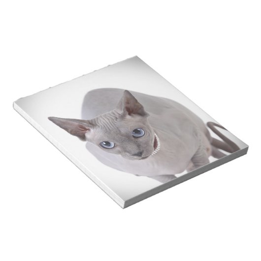 Sphynx-kat Notitieblok (Schuin)