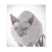 Sphynx-kat Notitieblok (Voorkant)