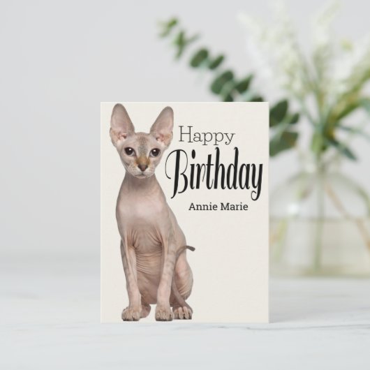 Sphynx Kat Personalized Birthday Briefkaart (Staand voorkant)
