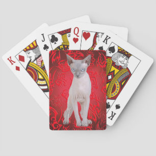 Sphynx-kat Pokerkaarten