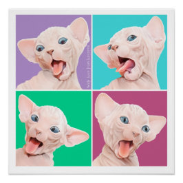 Sphynx-kat Poster