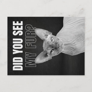 Sphynx Kat Sarcastische Vacht Humor Illustratie Briefkaart