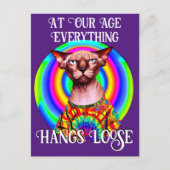 Sphynx Kat Verjaardag Jubileum Briefkaart (Voorkant)