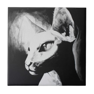 Sphynx kat zwart wit contrast poes portret kunst tegeltje