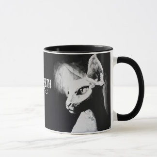 Sphynx Kat Zwarte Witte Kattenliefhebber Portret K Mok