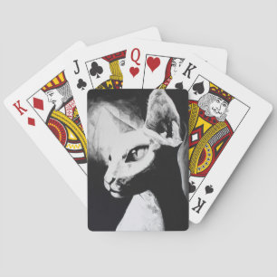 Sphynx Kat Zwarte Witte Kitty Dierenportret Kunst Speelkaarten