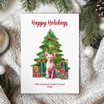 Sphynx Kattenfamilie Kerstmis