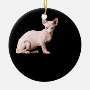 Sphynx kattenliefhebber cadeau voor mannen kinder  keramisch ornament
