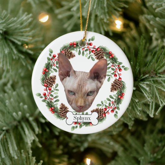 sphynx keramisch ornament (Boom)