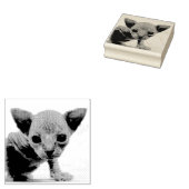 SPHYNX KITTEN CAT RUBBER STEMPEL (Gestempeld)
