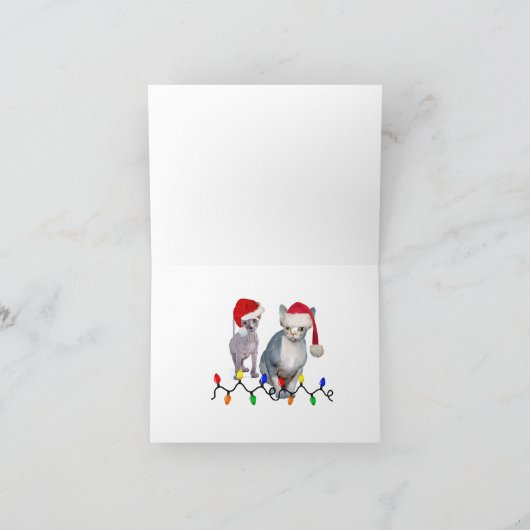 Sphynx Kitten gelooft in Santa Feestdagen Kaart (Binnen)