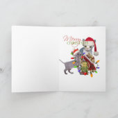 Sphynx Kitten's A Look At Santa's Book Feestdagen Kaart (Binnen)