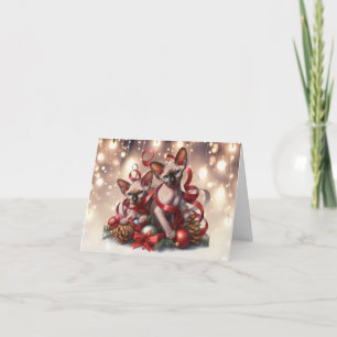 Sphynx Kittens Kerst Kaart