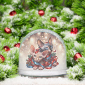 Sphynx Kittens Kerstmis Sneeuwbol (Kerstmis)