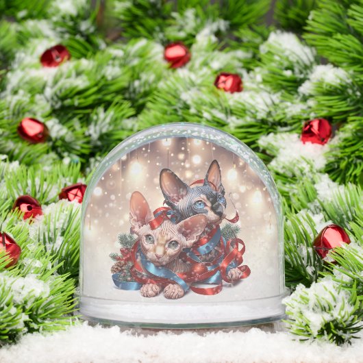 Sphynx Kittens Kerstmis Sneeuwbol (Kerstmis)