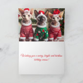 Sphynx Kittens Kerstvakantie Kaart (Binnen)