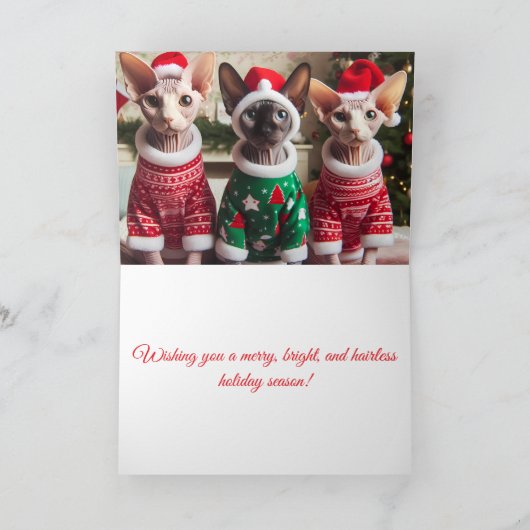 Sphynx Kittens Kerstvakantie Kaart (Binnen)
