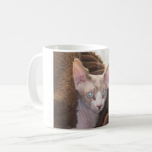 Sphynx Koffiemok (Voorkant links)