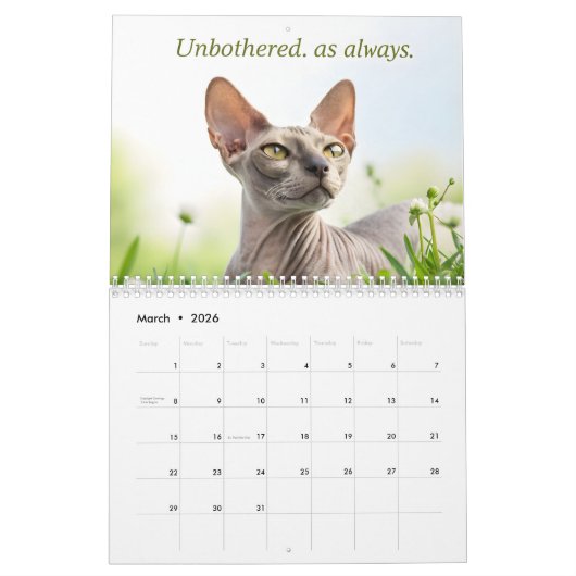 Sphynx Speaks: Editable Monthly Cat Humor Art Kalender (Mar 2026)
