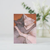 Sphynx Sphinx Cat Cats Nap Time Briefkaart (Staand voorkant)